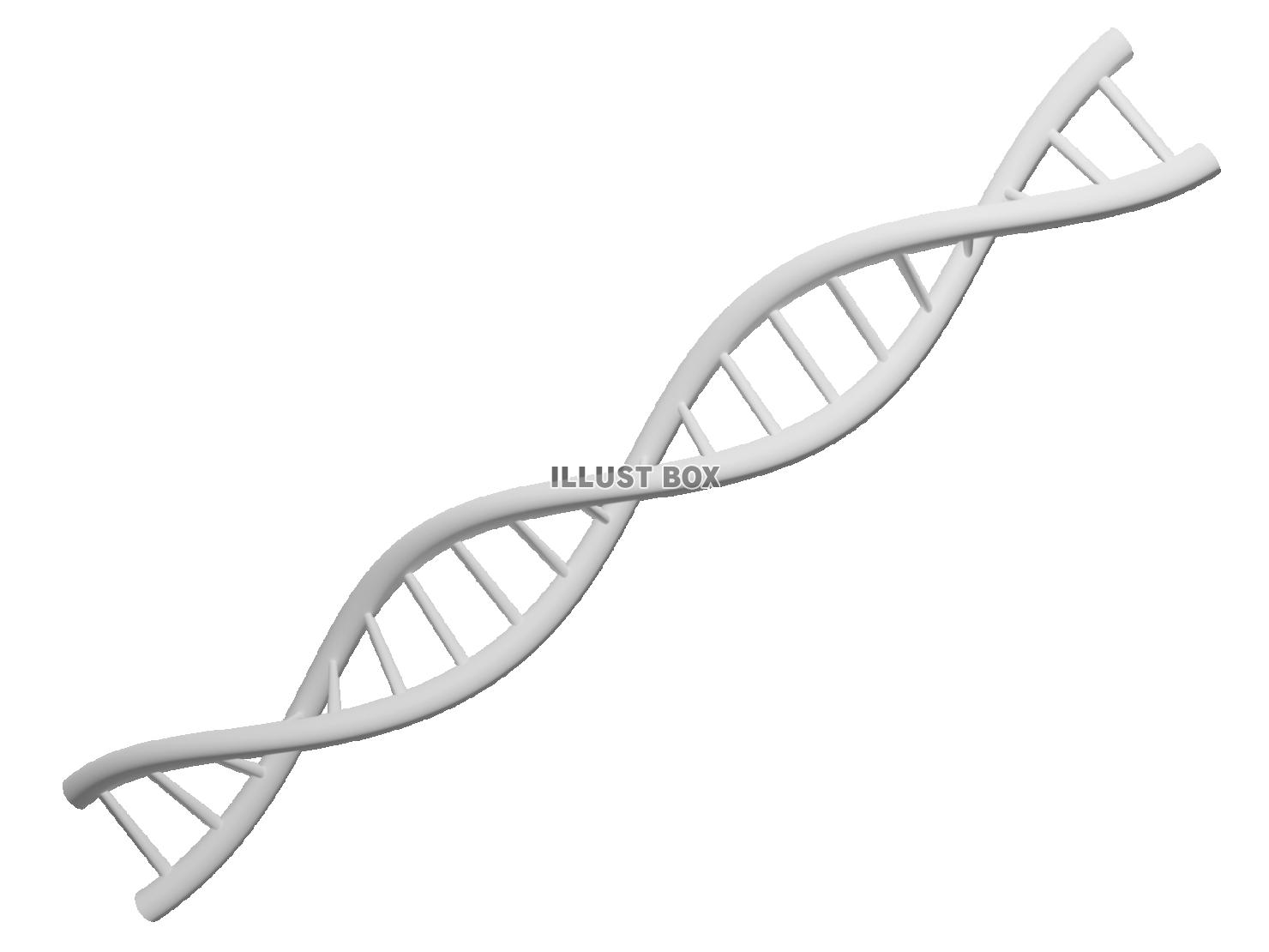 Dna イラスト無料