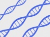 DNA（遺伝子）の2重螺旋の3DCG【壁紙・背景】