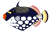モンガラカワハギ（熱帯海水魚）透過PNG