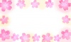桜の花のメッセージカード２