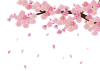 イラスト（桜の枝、花びら）