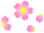 桜の花模様壁紙画像シンプル背景素材イラスト透過png