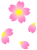 桜の花模様壁紙画像シンプル背景素材イラスト透過png