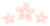 桜の花３つ　透過png