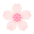 薄ピンク色さくらの花　透過png