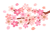 満開の桜の木の枝　透過png