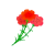 カーネーションの花束