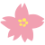 さくらの花