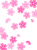 桜の花模様壁紙画像シンプル背景素材イラスト透過png