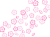 桜の花模様壁紙画像シンプル背景素材イラスト透過png