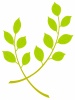 新緑の木の葉っぱ壁紙画像シンプル背景素材イラスト