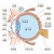 人間の身体★目の構造★眼球★文字あり