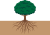 樹木と地中の根の断面図