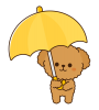 黄色の傘をさすトイプードル