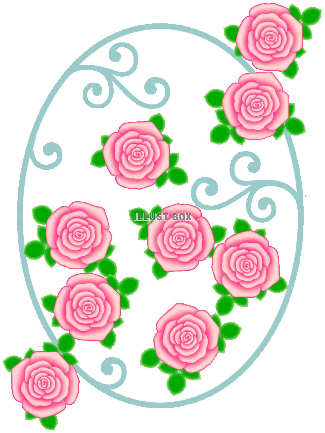 薔薇の花模様壁紙画像シンプル背景素材イラスト透過png