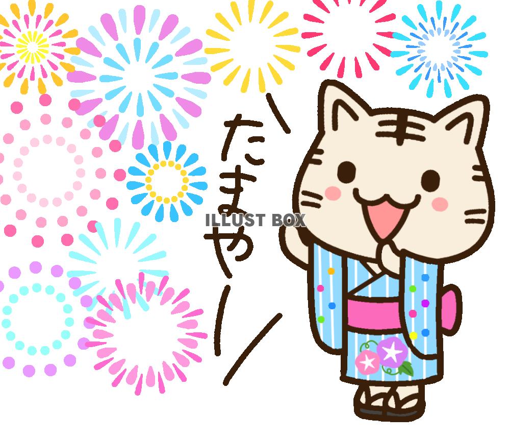 打ち上げ花火と浴衣姿のサバトラ猫　透過png