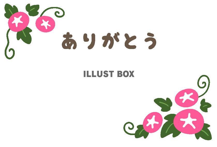 かわいい朝顔のお礼状　サンキューカード