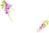 「萩の花シリーズ」　フレーム３