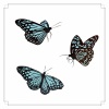 蝶　3種類のスタイル　イラスト素材