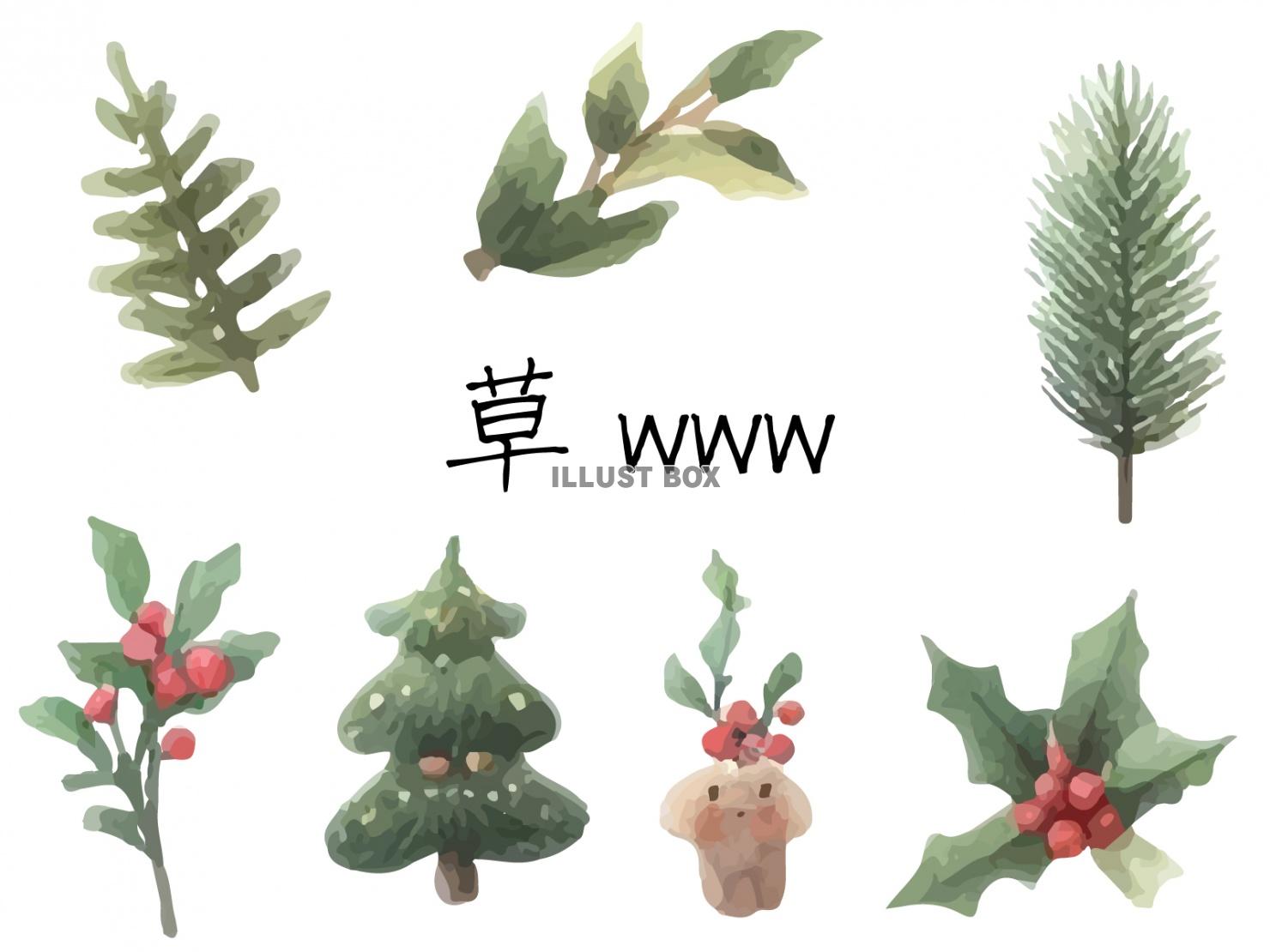 冬のクリスマスの飾りになる植物セット