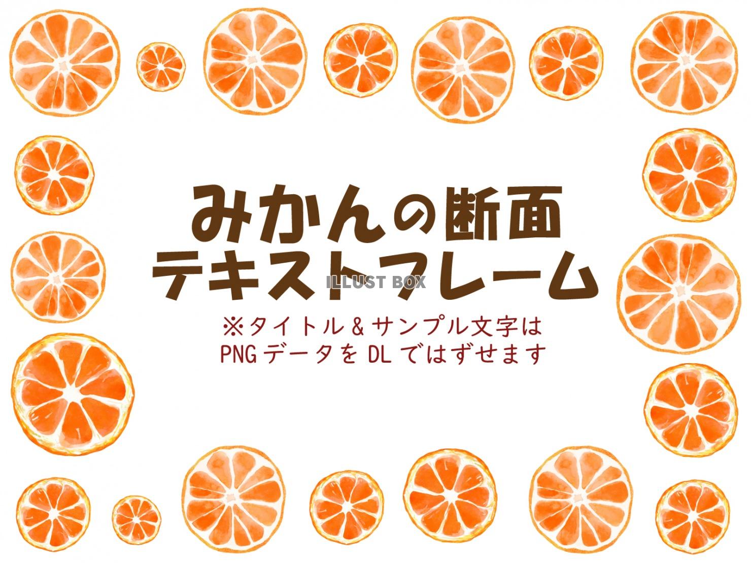 水彩タッチのみかんの断面テキストフレーム