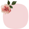 ピンクのバラのフレーム素材02