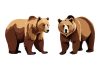 リアルな描画のクマ（熊）のイラスト素材