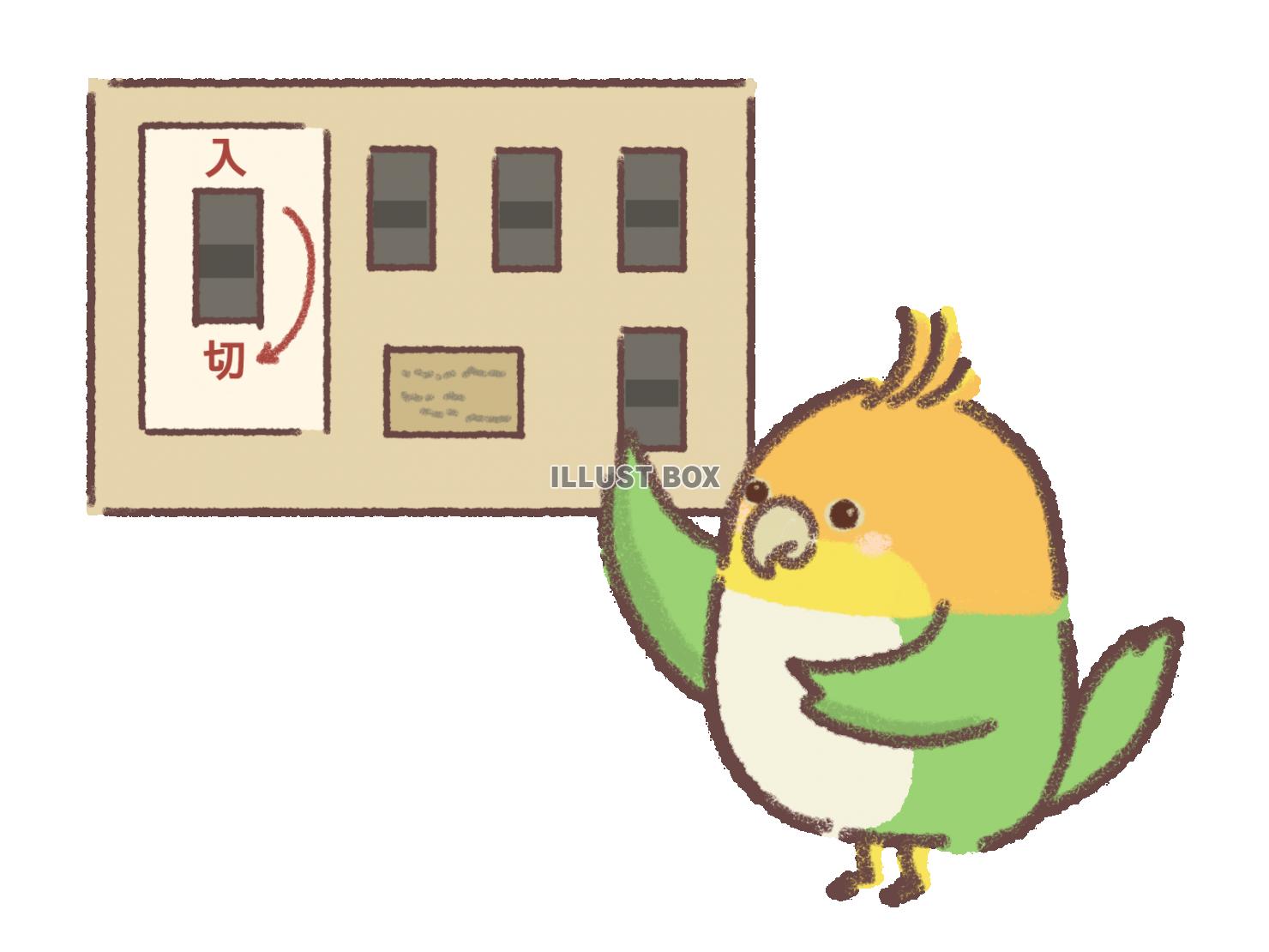 ブレーカーを切るシロハラインコのイラスト