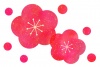 にじみ水彩の梅の花イラスト02