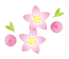 桃の節句ひな祭りにきれいな桃の花の可愛いワンポイント飾り