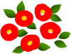 ツバキ（冬～春のお花）　赤１