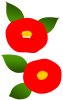 ツバキ（冬～春のお花）　赤３