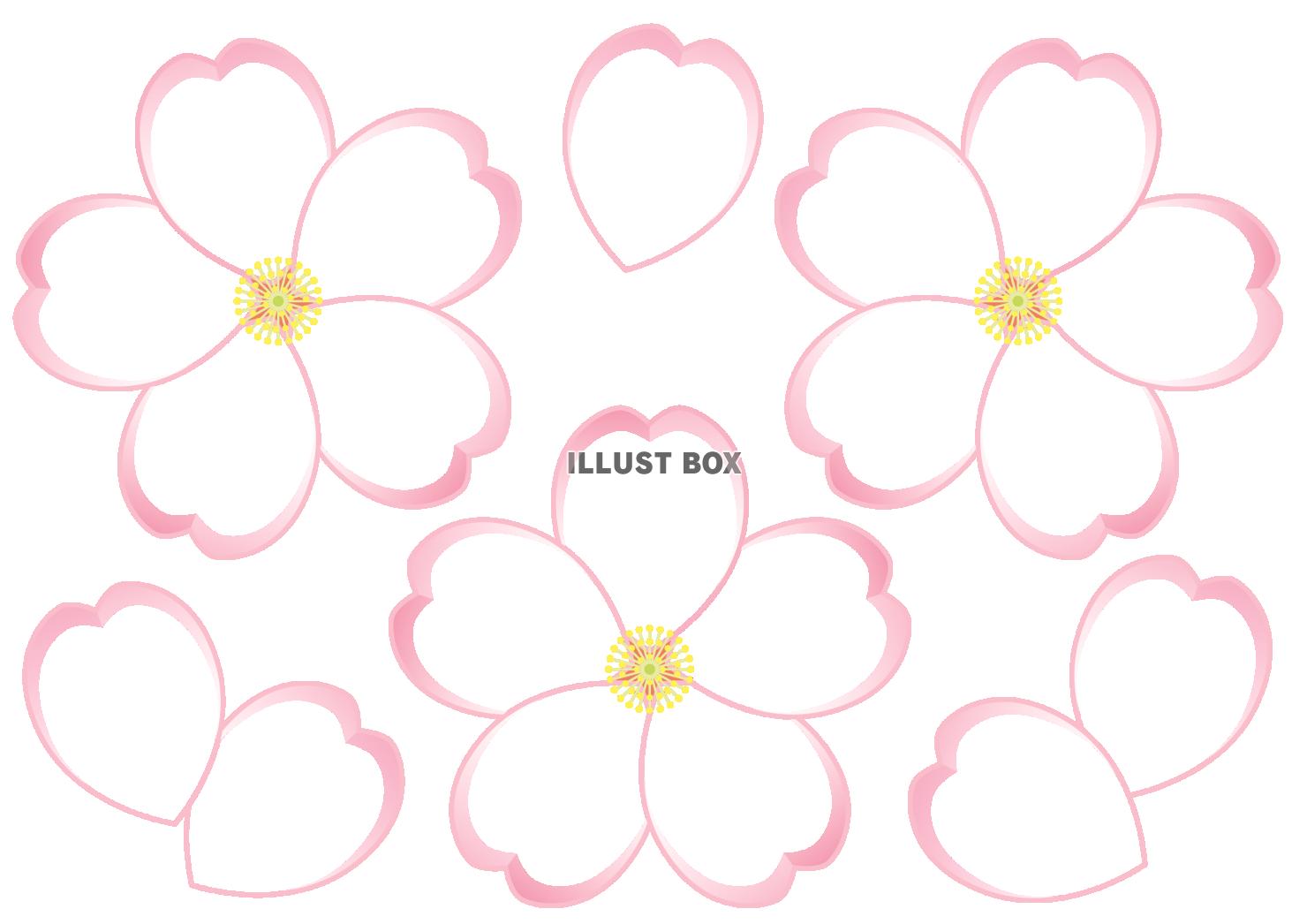 花びらがフレームの桜のイラスト