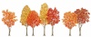 紅葉の街路樹のイラスト