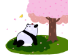 パンダシリーズ　のんびりお花見