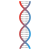 DNA