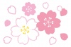 クレヨンタッチの桜イラスト/ピンク