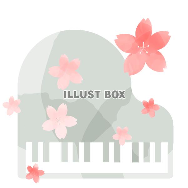 水彩風の桜とピアノ　灰色