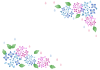 紫陽花フレーム