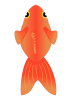 金魚-2