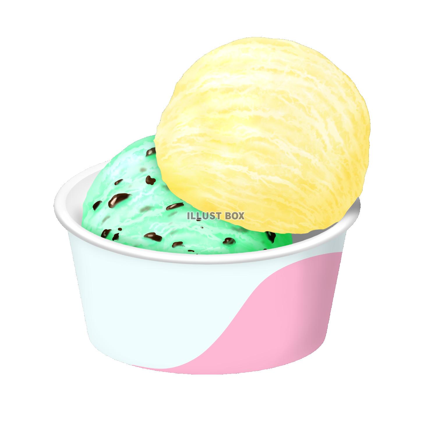 紙カップのアイスクリーム  ダブル バニラとミントチョコ