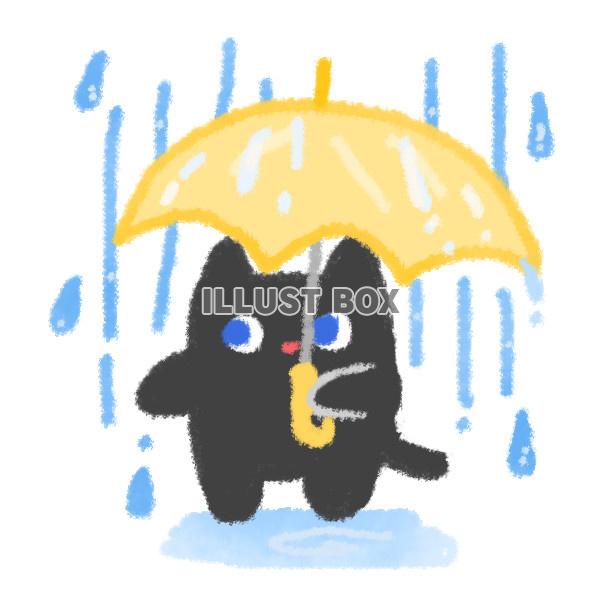 大雨の中で傘を差す黒猫