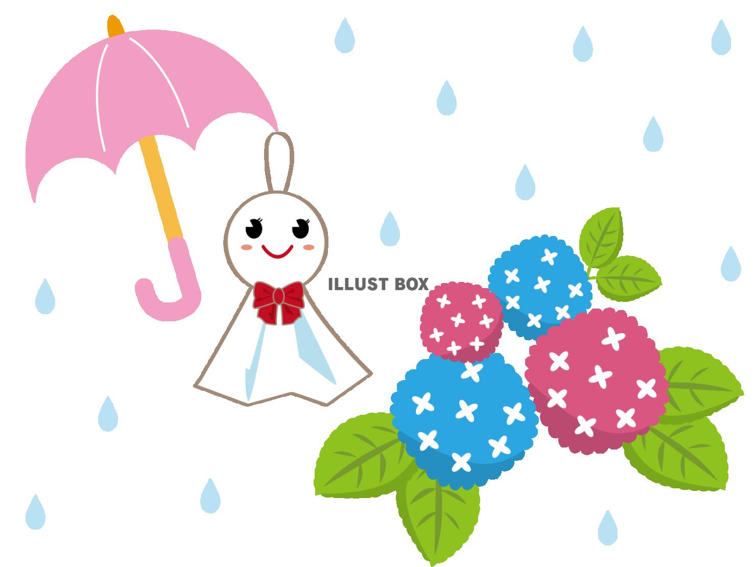 紫陽花のイラスト　梅雨