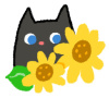 ヒマワリの花と黒猫