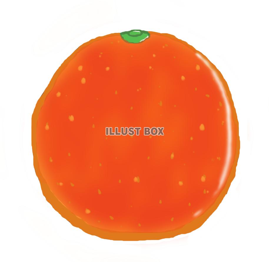 ブラッドオレンジ(png)