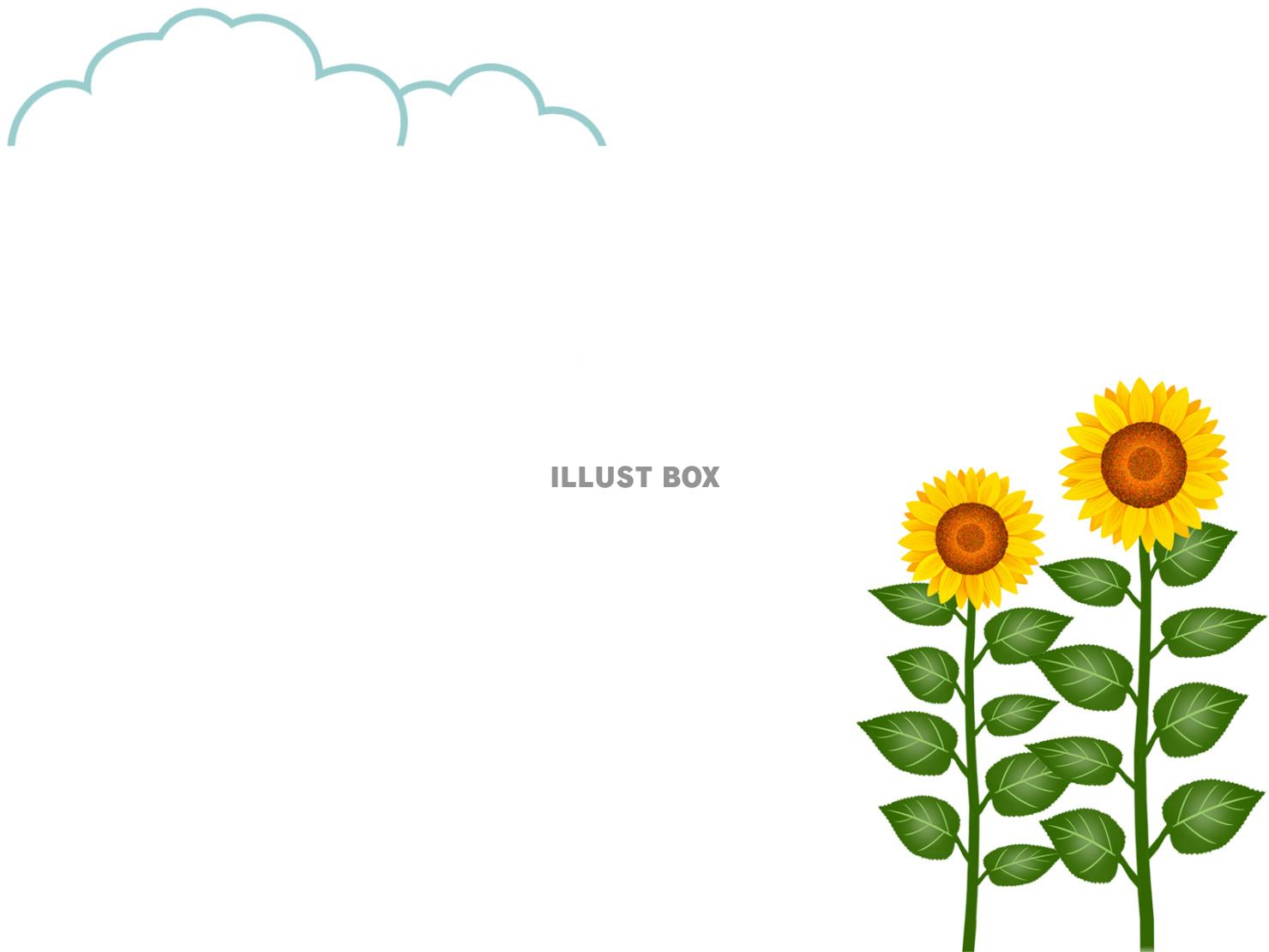 向日葵のフレーム素材シンプル花模様飾り枠イラスト