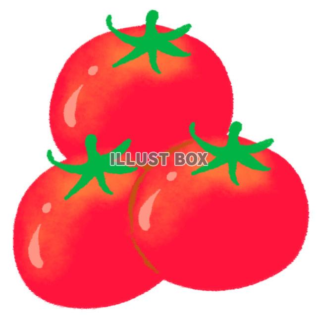 生き生きとしたトマトを三つ