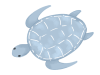 シンプルなウミガメのイラスト