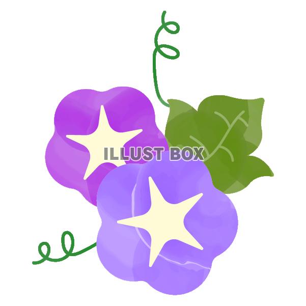水彩風の紫陽花と葉とつるD