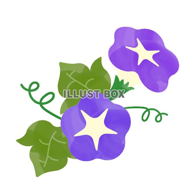 水彩風の紫陽花と葉とつるC